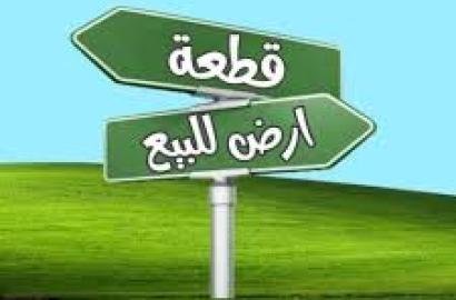 ارض في عجمان الحليو